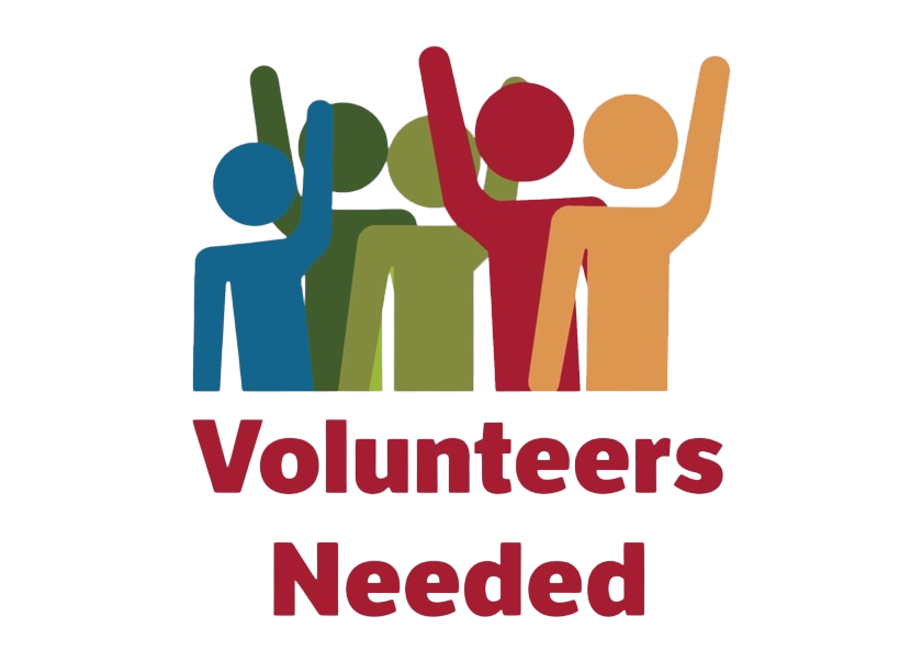 🌊 Volunteer Opportunity: Director of Inclusion, Equity & Indigenous Sport
